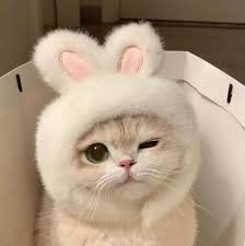 Lohini Arwakon's Avatar